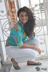 Seerat Kapoor at Run Raja Run Movie Press Meet